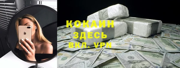 прущие грибы Иннополис