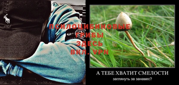 соль курить ск Инсар