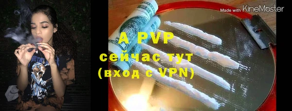 прущие грибы Иннополис