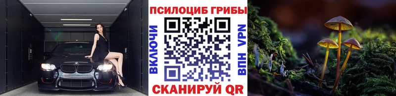 Галлюциногенные грибы Magic Shrooms  Семёнов 